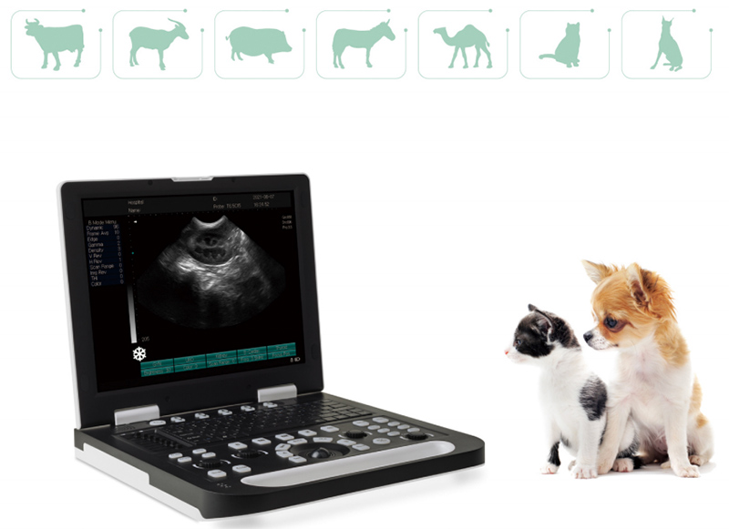 veterinary b/w portable ultrasound scanner 5
